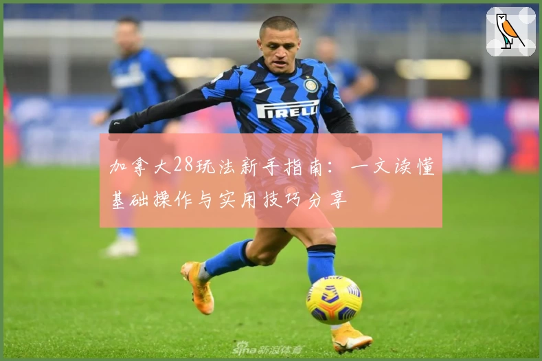 加拿大28玩法新手指南：一文读懂基础操作与实用技巧分享