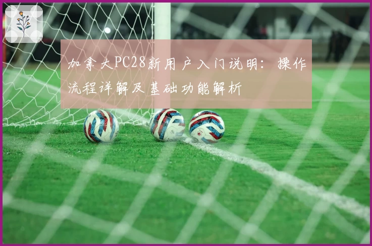 加拿大PC28新用户入门说明：操作流程详解及基础功能解析