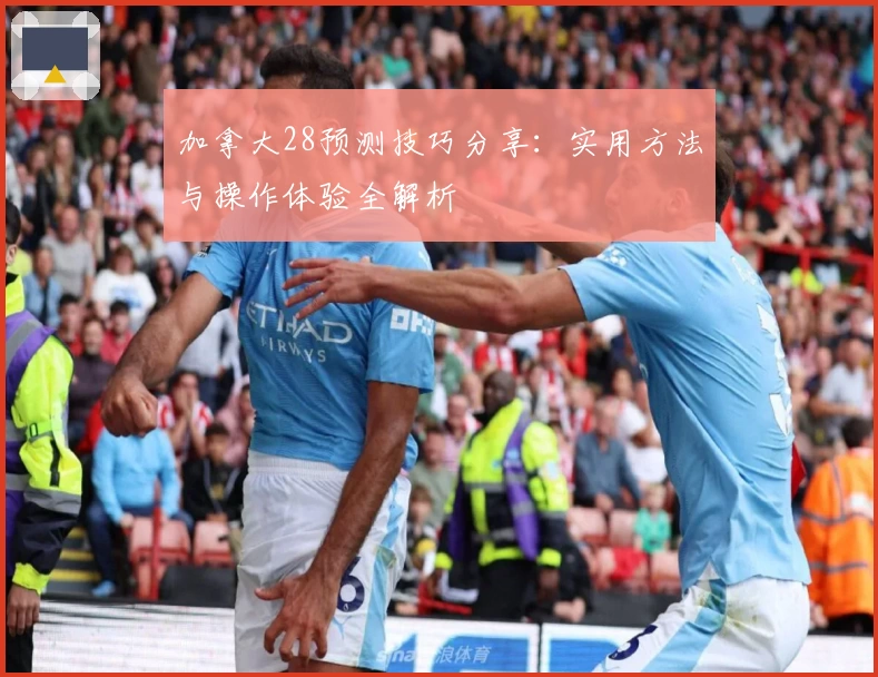加拿大28预测技巧分享：实用方法与操作体验全解析