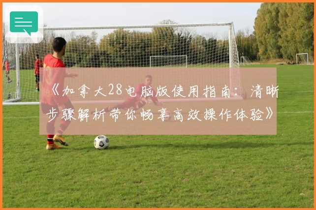 《加拿大28电脑版使用指南：清晰步骤解析带你畅享高效操作体验》