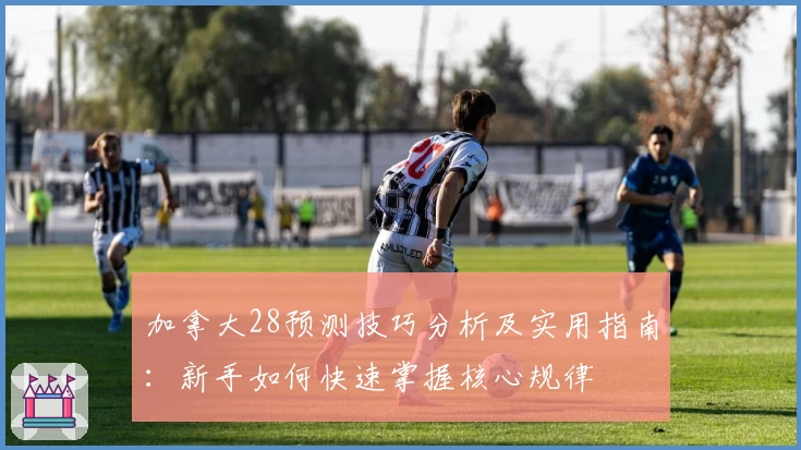 加拿大28预测技巧分析及实用指南：新手如何快速掌握核心规律