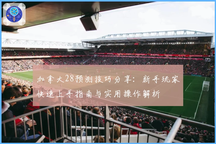 加拿大28预测技巧分享：新手玩家快速上手指南与实用操作解析