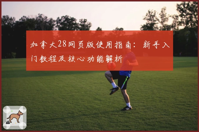 加拿大28网页版使用指南:新手入门教程及核心功能解析