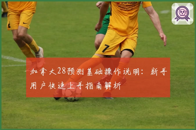 加拿大28预测基础操作说明：新手用户快速上手指南解析