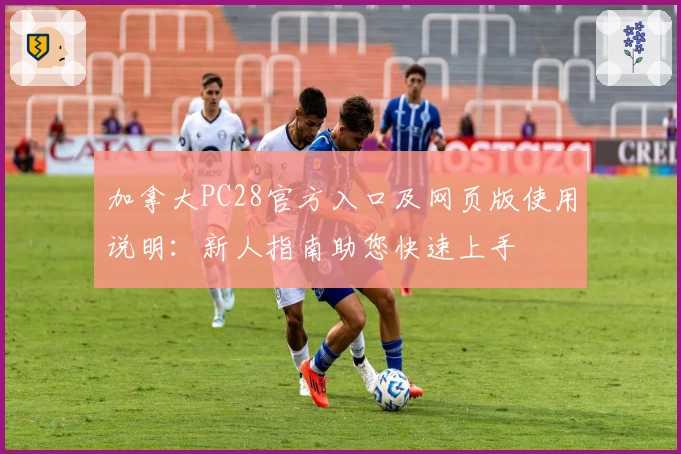 加拿大PC28官方入口及网页版使用说明：新人指南助您快速上手