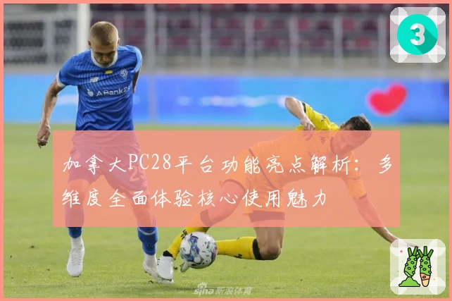 加拿大PC28平台功能亮点解析：多维度全面体验核心使用魅力