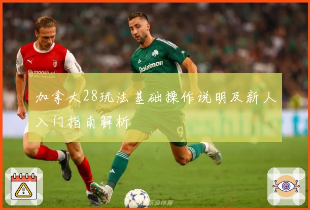 加拿大28玩法基础操作说明及新人入门指南解析