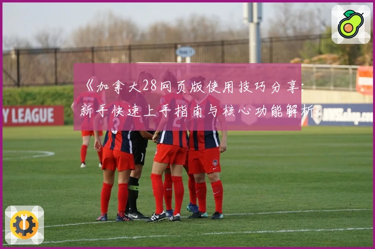 《加拿大28网页版使用技巧分享：新手快速上手指南与核心功能解析》