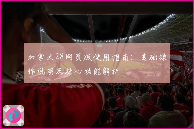 加拿大28网页版使用指南：基础操作说明及核心功能解析