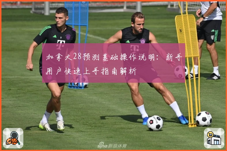 加拿大28预测基础操作说明：新手用户快速上手指南解析